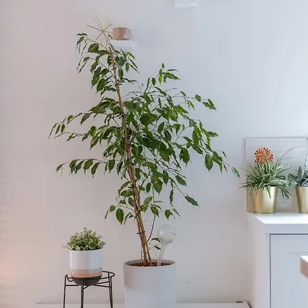 Feriehus Modern And Bohemian House With Spacious Garden *