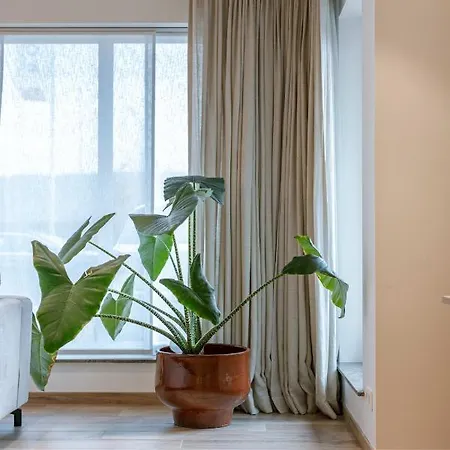 Modern And Bohemian House With Spacious Garden *